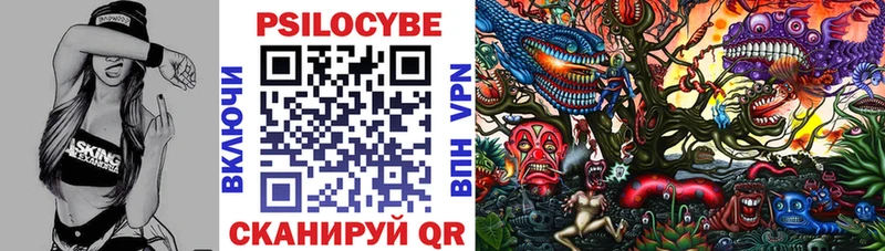 Галлюциногенные грибы Psilocybe  MEGA маркетплейс  Томилино 